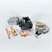 ΚΥΛΙΝΔΡΟΠΙΣΤΟΝΟ YAMAHA AEROX 47MM ΣΙΔΕΡΟ MALOSSI