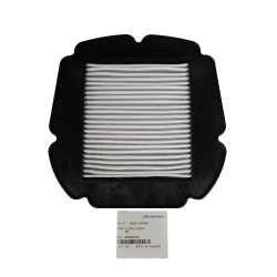 ΦΙΛΤΡΟ ΑΕΡΑ QJMOTOR SVT-650Χ-E5 / SVT-650-E5 ΓΝΗΣΙΟ