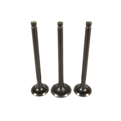 ΒΑΛΒΙΔΕΣ ΣΕΤ LIFAN LF100 3VALVES  ΣΕΤ(3ΤΕΜ)