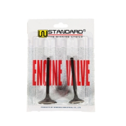 ΒΑΛΒΙΔΕΣ ΣΕΤ GY6 150cc W-STANDARD