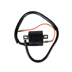 ΠΟΛΛΑΠΛΑΣΙΑΣΤΗΣ YAMAHA CRYPTON F1Z  ROC