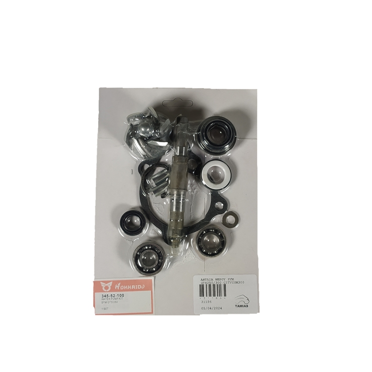 ΑΝΤΛΙΑ ΝΕΡΟΥ SYM GTS250/300 CITYCOM300