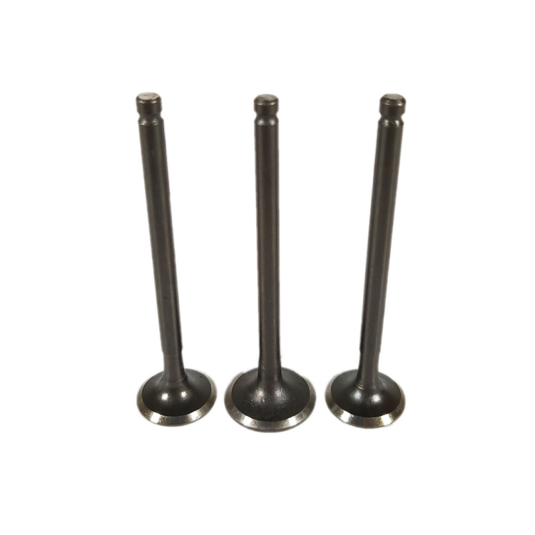 ΒΑΛΒΙΔΕΣ ΣΕΤ LIFAN LF100 3VALVES  ΣΕΤ(3ΤΕΜ)