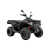 Κ.ΜΟΤ/ΤΑ ATV LONCIN X-WOLF 300 L7E E5+